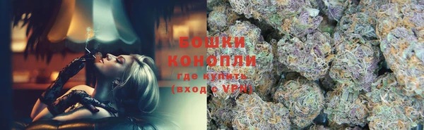 твердый Верхний Тагил