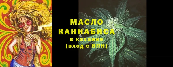 твердый Верхний Тагил
